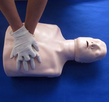 Απλός τύπος πρώτης βοήθειας Εκπαίδευση CPR μισού σώματος Μανουκέλιο για σχολική εκπαίδευση