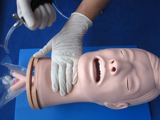 Πολυλειτουργικό μοντέλο εκπαίδευσης ενδοτραχειικής ενσωμάτωσης για τη διαχείριση των αεραγωγών