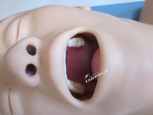 Πολλαπλόχρηστος ανθρώπινος προσομοιωτής για τη διαχείριση των αεραγωγών και την κρυκοειδή διάτρηση στα νοσοκομεία