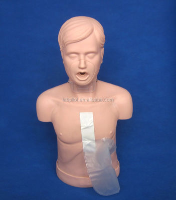 Ενηλίκιος CPR εκπαιδευτικό ανδρείκελο με προηγμένο άνοιγμα των αεραγωγών και προσομοίωση ελιγμών Heimlich