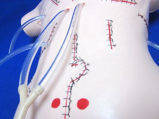 Ρεαλιστικό μοντέλο διδασκαλίας σκωληκοειδίτιδας για δεξιότητες επίδρασης και ράμματος