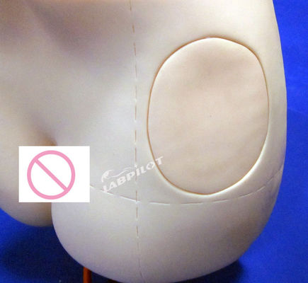 Επαγγελματικό Μανουκίνο Hip Intramuscular Injection Πρακτική Μοντέλο για ιατρική εκπαίδευση
