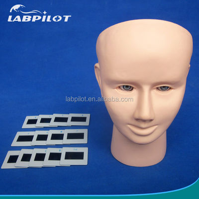 Διδακτικό μοντέλο επιθεώρησης οφθαλμού PVC για την ανθρώπινη ζωή Μεγέθος Funduscopic εξέταση