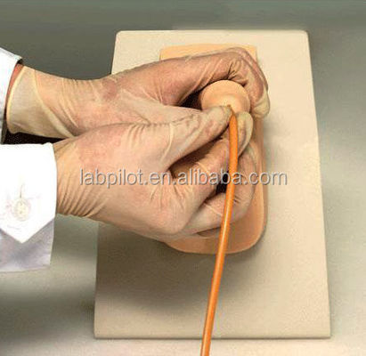 Μοντέλο ανδρικής ουροδόχου κύστης προσομοιωτής καθετηριασμού ουρήθρας για την επίδειξη φροντίδας ασθενών