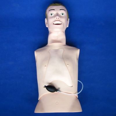 Επαγγελματικό ανθρωπομετρικό μανικίνο ενσωμάτωσης και αναρρόφησης με λειτουργία νοσηλευτικής