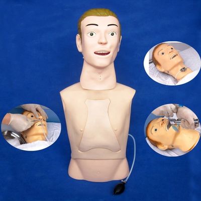 Μανουκίνο μισού σώματος Το απόλυτο διδακτικό μοντέλο για τη νοσηλεία της ρινικής-γαστρικής διατροφής στα νοσοκομεία