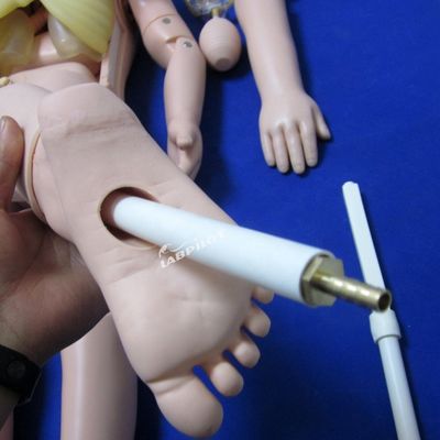 Παιδιατρική Ανατομικό μοντέλο για την εκπαίδευση μητρότητας και παιδιατρικής φροντίδας 3χρονων