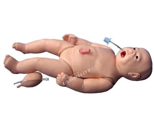 ACLS Νεογνά Νοσηλευτική Μανικίνος Ανθρώπινο Μέγεθος Ζωής Θέμα για τη διδασκαλία Ιατρικών Επιστημών