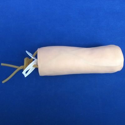 Ιατρικές Επιστήμες Οικονομική μαλακή φαινοπλαστική και ενδοφλέβια ένεση Διδασκαλία μοντέλο προσομοιωτή διάτρησης αγκώνα