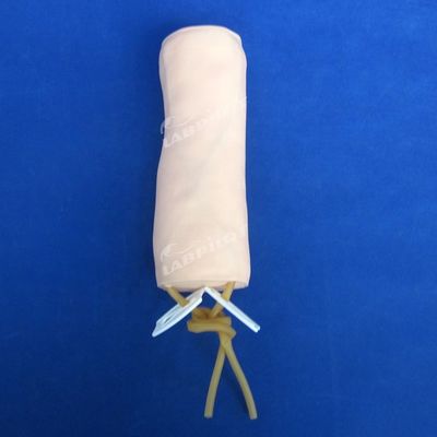 Ιατρική Επιστήμη Βενενενέκτορα και Πρακτική Μεταγγίσεων Αίματος Μοντέλο με IV Μοντέλο Κεφαλής
