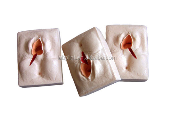 Γυναικολογικές δεξιότητες Διδασκαλία 3-Set Perineum Suring Simulator και Episiotomy Wound Suring Model