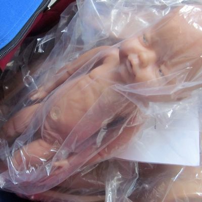 Εγκυμονούσα γυναίκα ανδρείκελο Κούκλα Μωρό Μαιευτική Εκπαιδευτικό μοντέλο Γέννησης με προηγμένο PVC