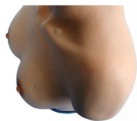 Γυναικολογικές δεξιότητες διδασκαλία ανδρείκελο για την εξέταση του μαστού και του προσομοιωτή παλπασμού