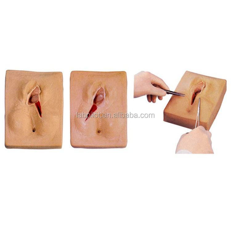 Γυναικολογικές δεξιότητες Διδασκαλία 3-Set Perineum Suring Simulator και Episiotomy Wound Suring Model