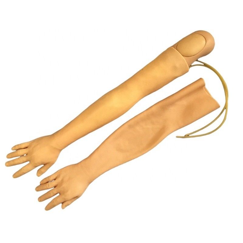 Μοντέλο Vivid Arm για κατάρτιση ενδοφλέβιας ένεσης Πολυλειτουργικό μοντέλο κατάρτισης κλινικής νοσηλευτικής