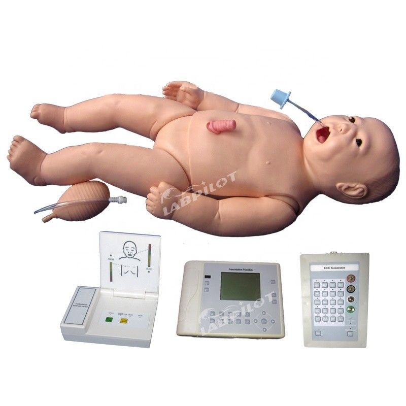 ACLS Νεογνά Νοσηλευτική Μανικίνος Ανθρώπινο Μέγεθος Ζωής Θέμα για τη διδασκαλία Ιατρικών Επιστημών