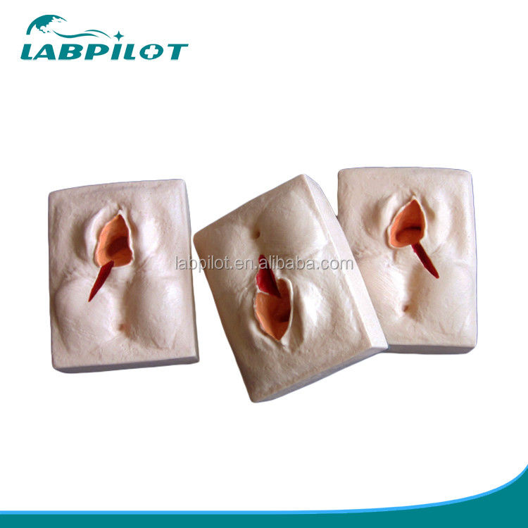 Γυναικολογικές δεξιότητες Διδασκαλία 3-Set Perineum Suring Simulator και Episiotomy Wound Suring Model